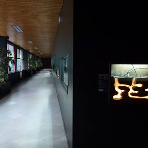 Reptile house, November 2013.