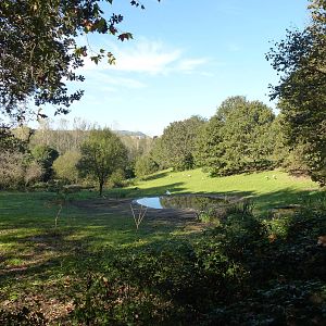 Main paddock, November 2013.