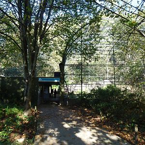 Wader aviary, November 2013.