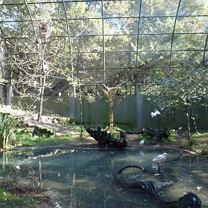 Wader aviary, November 2013.