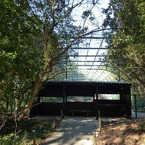 Gannet aviary, November 2013.
