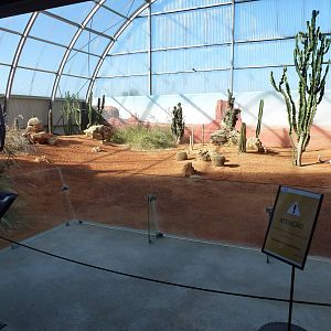 Desert exhibit - Biorama, November 2013.