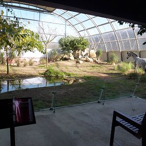 Savannah exhibit - Biorama, November 2013.