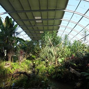Tropical rainforest exhibit - Biorama, November 2013.