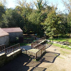 Farm, November 2013.