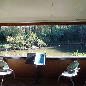 Waterfowl aviary, November 2013.