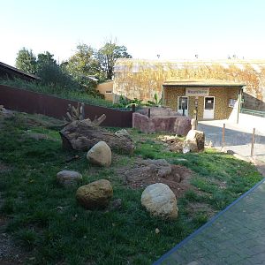 Meerkat enclosure, November 2013.