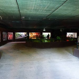 Reptile house, November 2013.