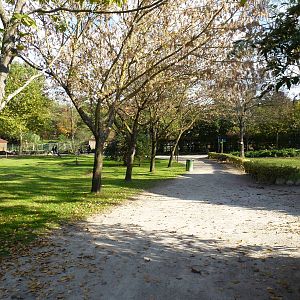 Paths through the gardens, November 2013.