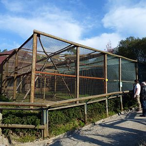 Tonkean macaque enclosure, November 2013.