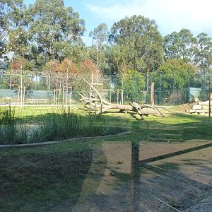 Asiatic lion enclosure, November 2013.