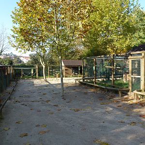 Parrot aviaries, November 2013.