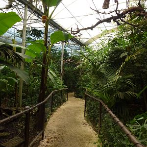 Tropical house, November 2013.