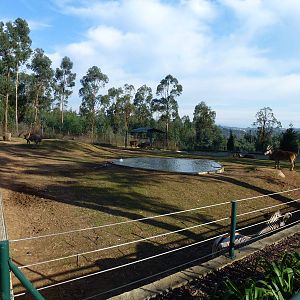 Savannah enclosure, November 2013.