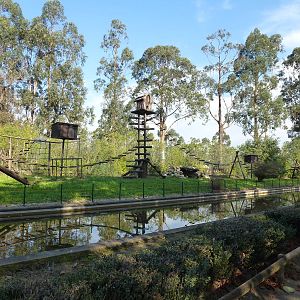 Ruffed lemur enclosure, November 2013.