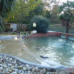 Penguin enclosure, November 2013.