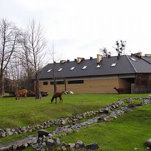 Pavilion and paddock of Lama glama