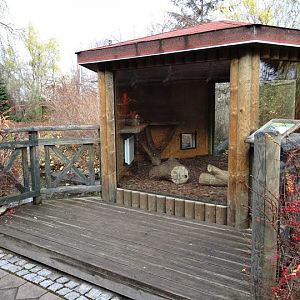 Pavilion of Lemur catta