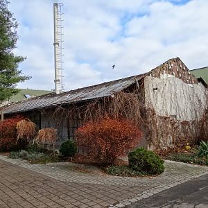 Pavilion of amphibians after the fire