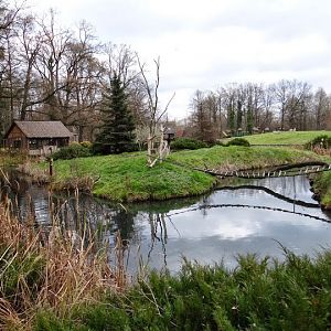Paddock of Varecia rubra