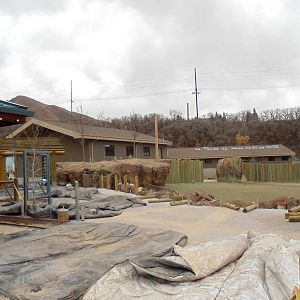 African Savannah Construction 12/2/13