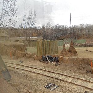 African Savannah Construction 12/2/13