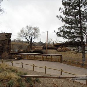 African Savannah Construction 12/1/13