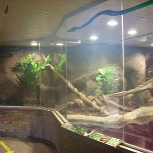 Green Anaconda 29 nov 2013