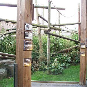 out door sloth enclosure 29th Nov 13