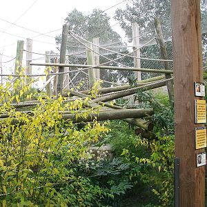 worlds apart other side of the the pathway 29th nov 13