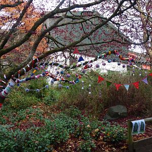 Tree Dressing Day, 3 December 2013