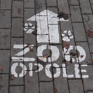 All roads are leading to the zoo :)