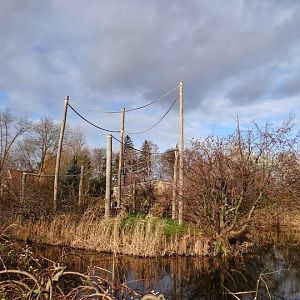Paddock - island of Hylobates lar