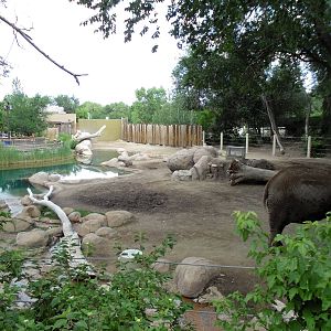 Elephant Enclosure 8/4/13