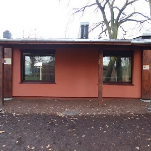 New pavilion for Okapia johnstoni and Potamochoerus porcus