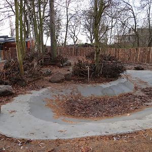 Paddock of Potamochoerus porcus