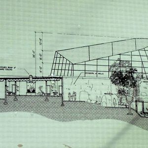 Concept Art for New Reptile Complex