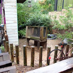 Second Tortoise Exhibit in Trader's Alley