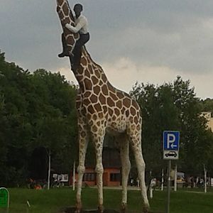 Giraffe at entrance