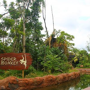 Amazon River Quest - Brown-headed Spider Monkey exhibit