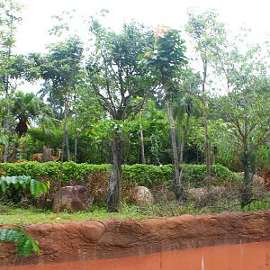 Amazon River Quest - Guanaco exhibit