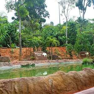 Amazon River Quest - Brazilian Tapir exhibit