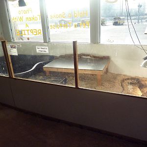 Water Monitor Exhibit