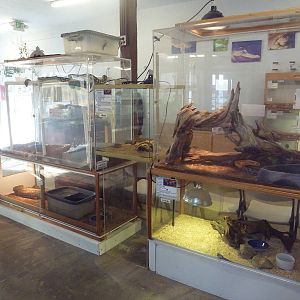 5 Exhibits (6 Species - see below )