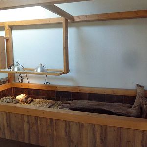 Leopard Tortoise Exhibit