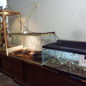 3 Exhibits (see species list below)