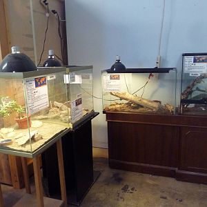4 Exhibits (see species list below)