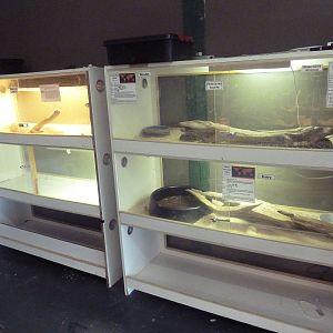 3 Exhibits (see list below)