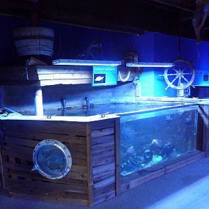 Saltwater Tank