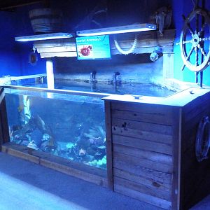 Saltwater Tank